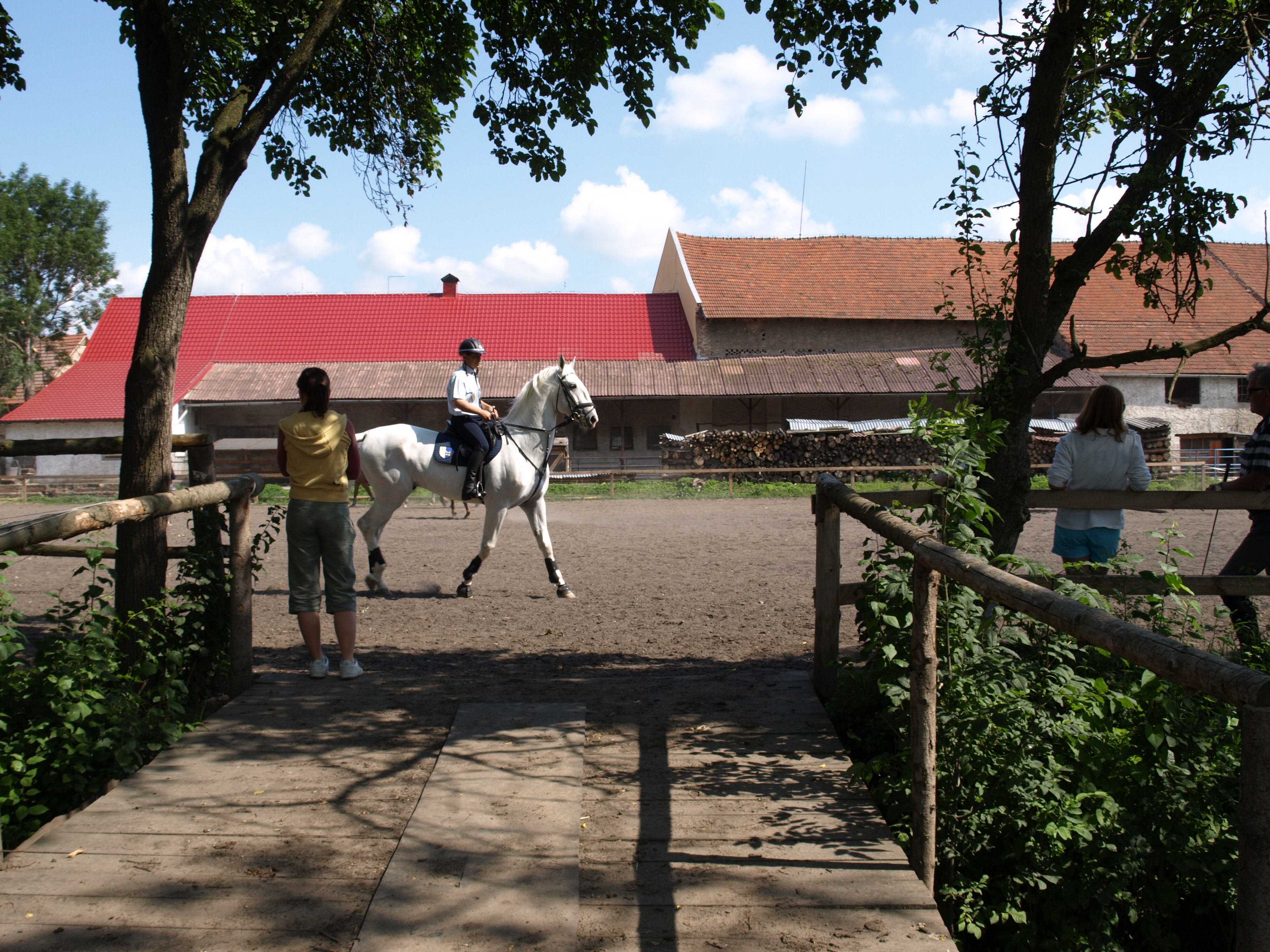 P6212140.JPG